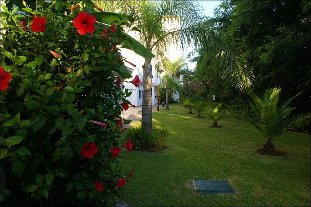 Beautiful Apartment Sea&Mountains Views La Cala De Mijas Dış mekan fotoğraf